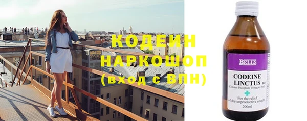 эйфоретик Вяземский