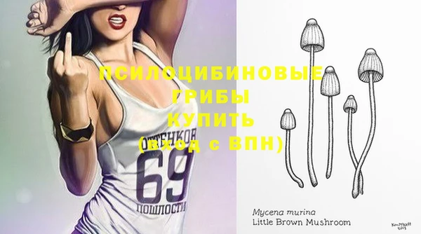 спиды Вязьма
