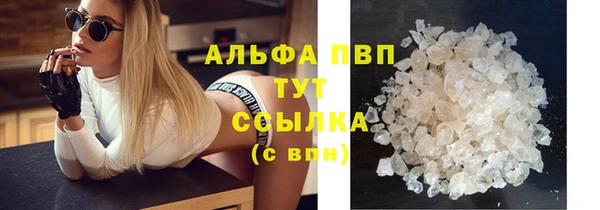 спиды Вязьма