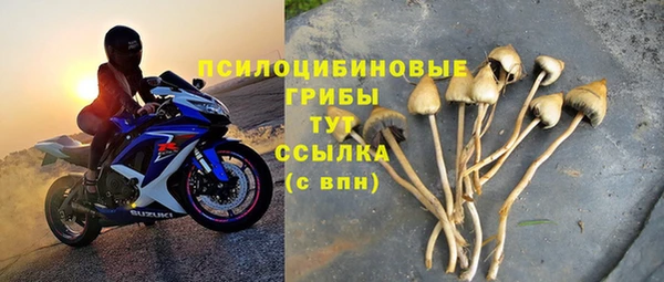 спиды Вязьма