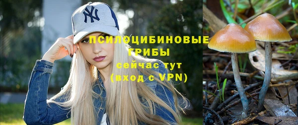 эйфоретик Вяземский