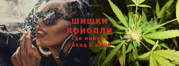 эйфоретик Вяземский